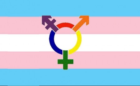 La stérilisation des personnes Trans