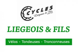 Liegeois_virton_opt