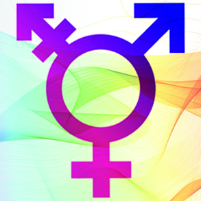 Réunion du groupe trans Réunion du groupe trans